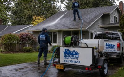 Best Roof Cleaning Companies in Salem — Top Rated by Customers