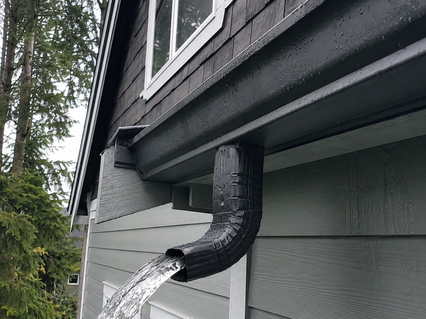 gutter cleaning package
