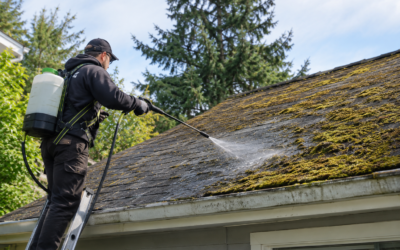 Eco-Friendly Roof Cleaning and Moss Removal FAQs: Safe Ways To Protect Your Roof